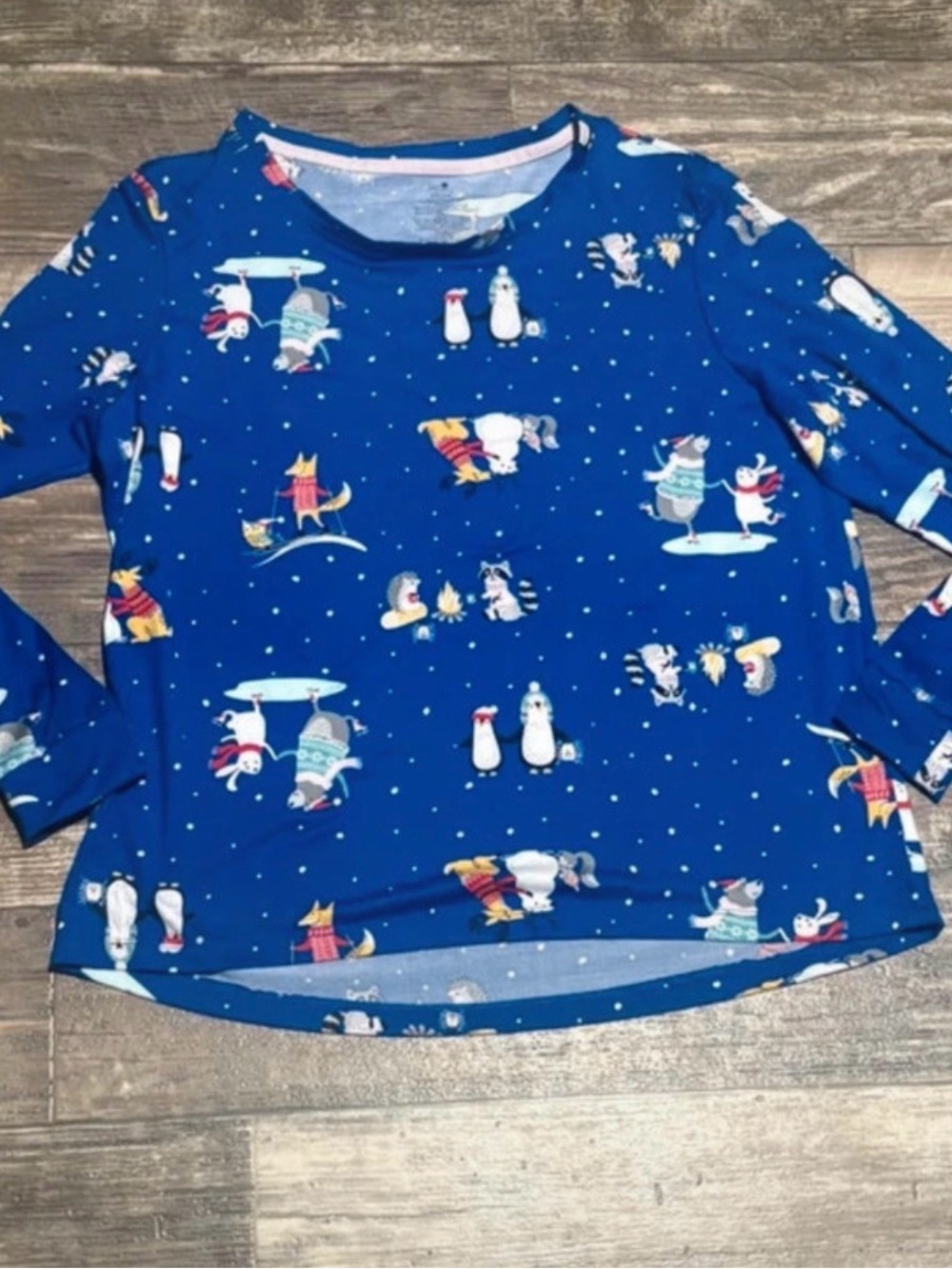 Secret Treasures Blue Penguin & Winter Characters Long Sleeve Pajama Top